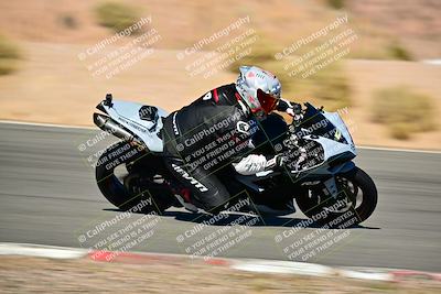 media/Oct-24-2025-2WTD (Fri) [[491f36c2bf]]/C Group/Session 4 (Turn 7)/